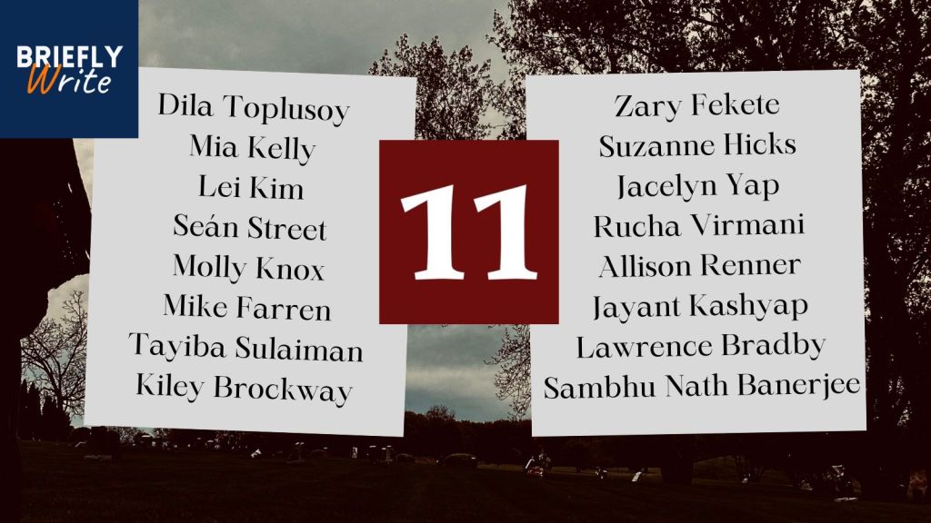 Briefly Write Issue 11 contributors - Mike Farren / Molly Knox / Lei Kim / Allison Renner / Jayant Kashyap / Rucha Virmani / Tayiba Sulaiman / Kiley Brockway / Zary Fekete / Mia Kelly / Jacelyn Yap / Lawrence Bradby / Seán Street / Suzanne Hicks / Sambhu Nath Banerjee / Dila Toplusoy